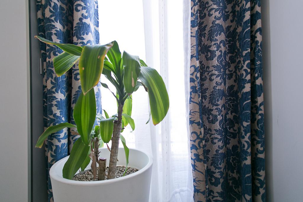 Guest house Main Street 3*